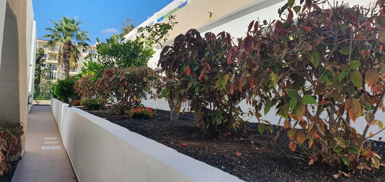 Adults Only Sunny Quiet Apartment In Center Of Las Americas Arona  Exterior foto